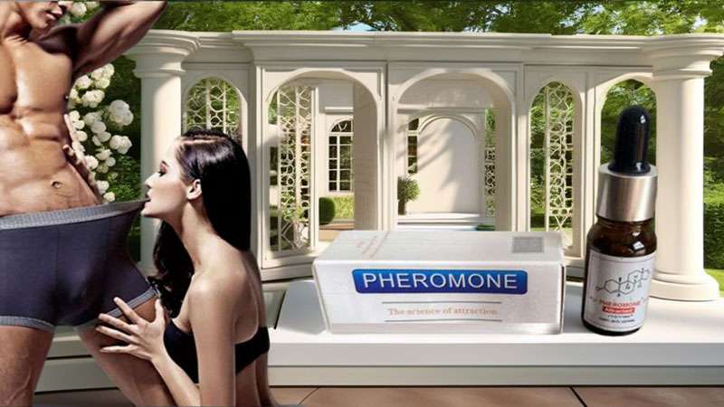 Hiệu quả nước hoa kích thích nam Pheromone